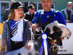 2019_ausstellung polling_474